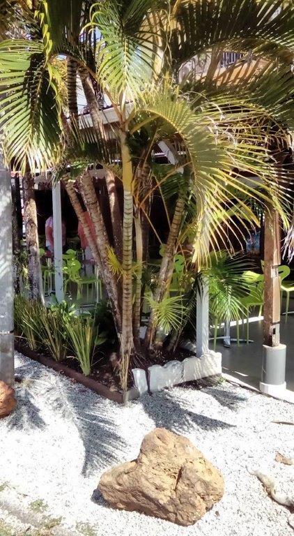 Hotel Des Amandiers カイエンヌ エクステリア 写真